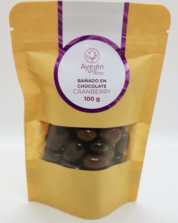 CRANBERRY BAÑADO EN CHOCOLATE, 100g